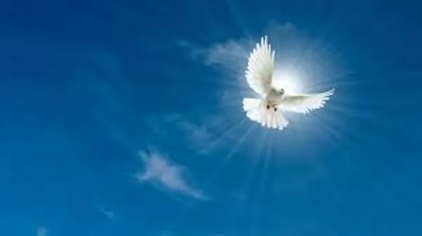 img of On Cessationism