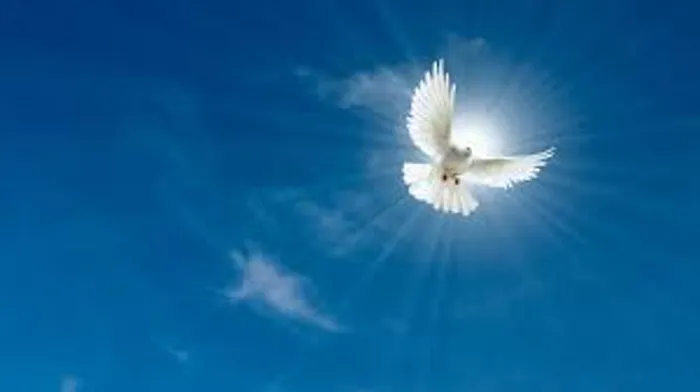 cover for On Cessationism